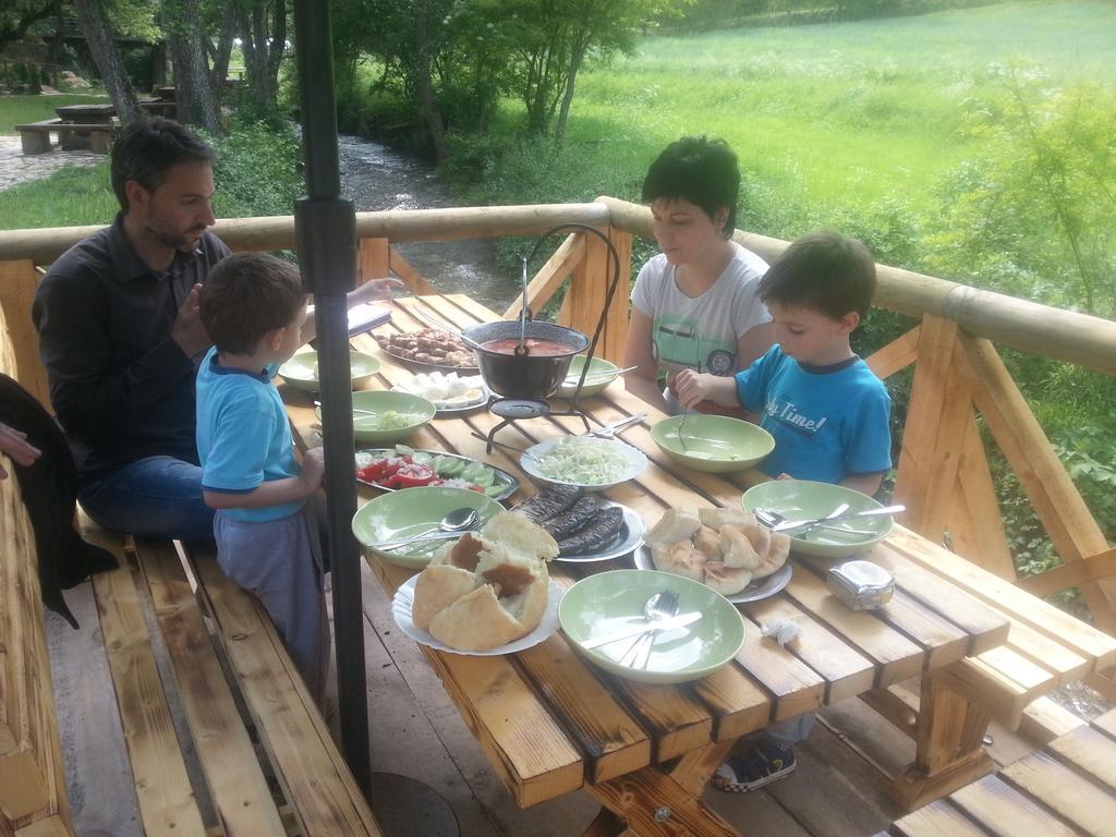 Gradacka Banja Brvnare Daire Gradac  Dış mekan fotoğraf