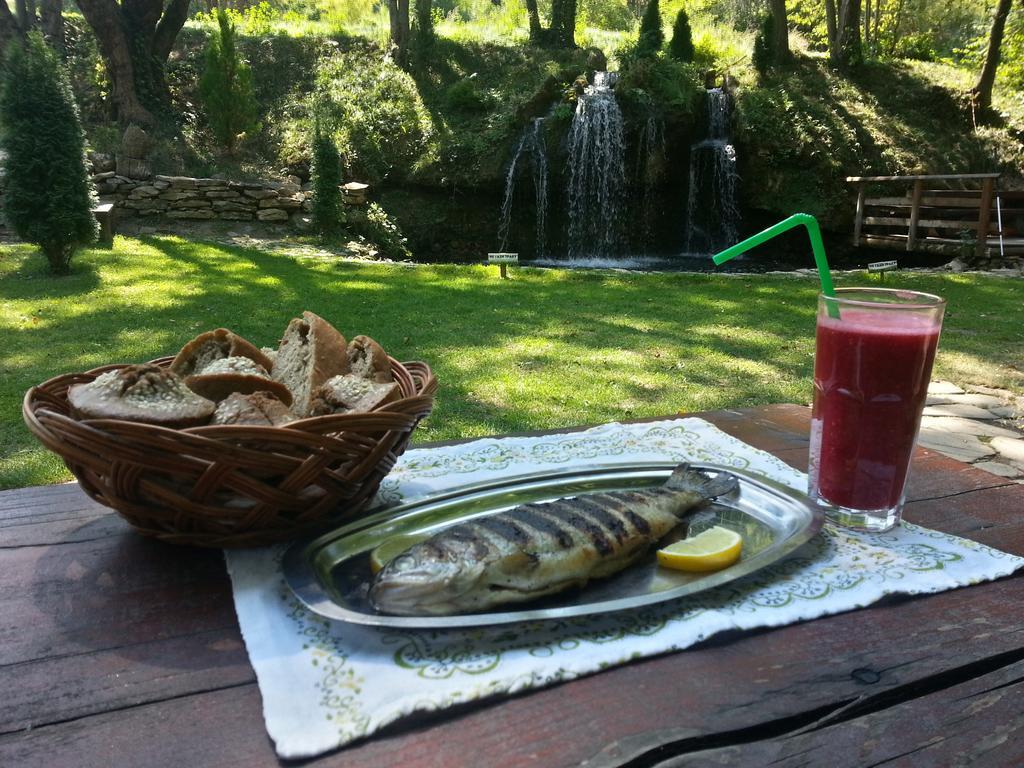 Gradacka Banja Brvnare Daire Gradac  Dış mekan fotoğraf