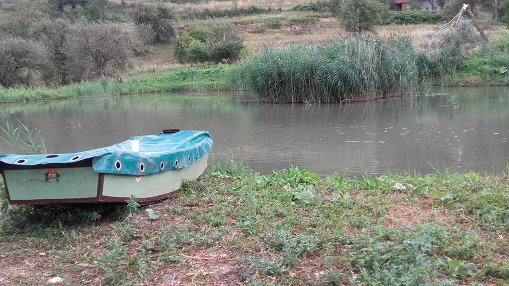 Gradacka Banja Brvnare Daire Gradac  Dış mekan fotoğraf
